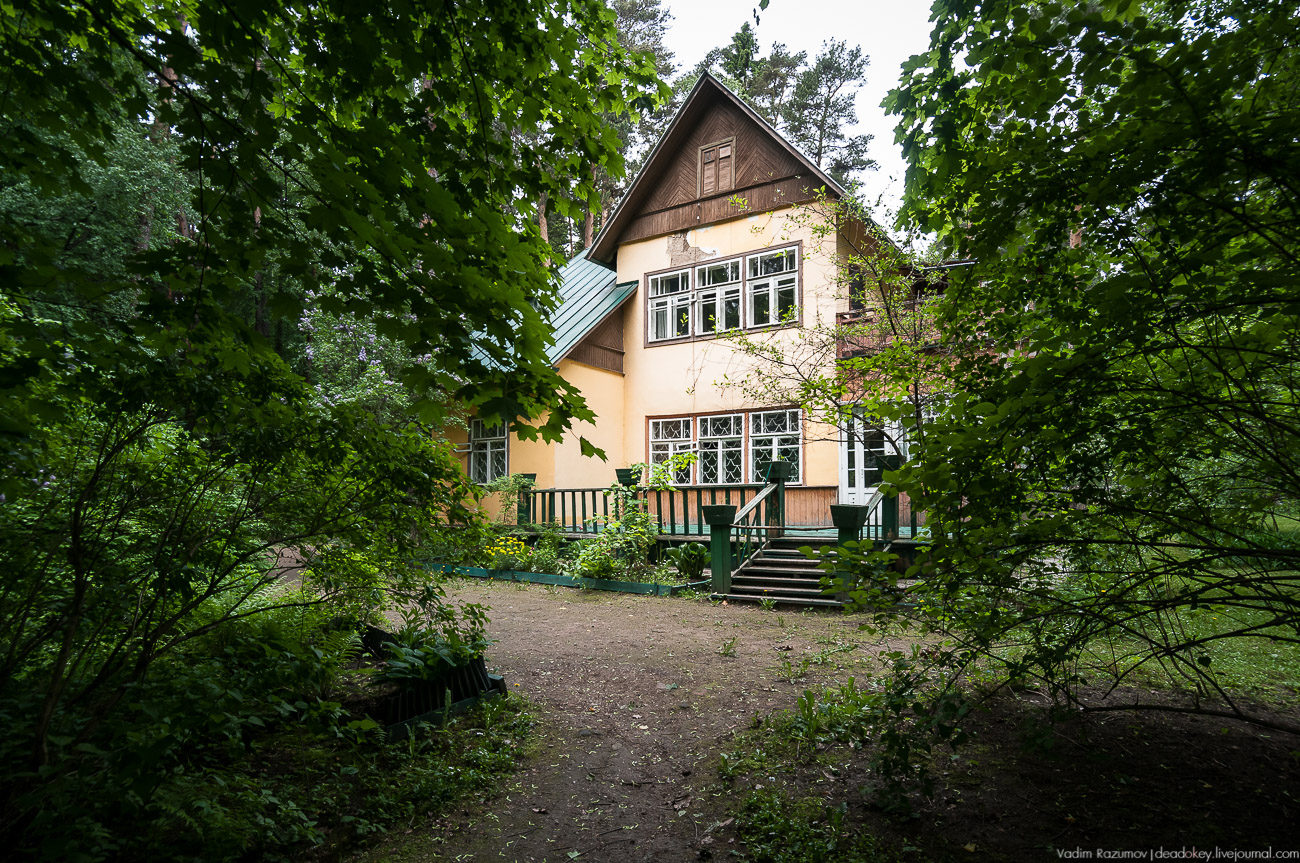 Летопись русской усадьбы. Усадьбы 2017 года