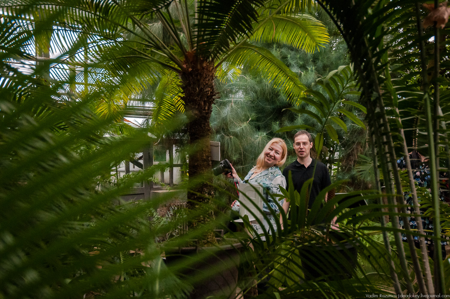 Ботанический сад, фондовая оранжерея, Экоэлектричка, борщевик