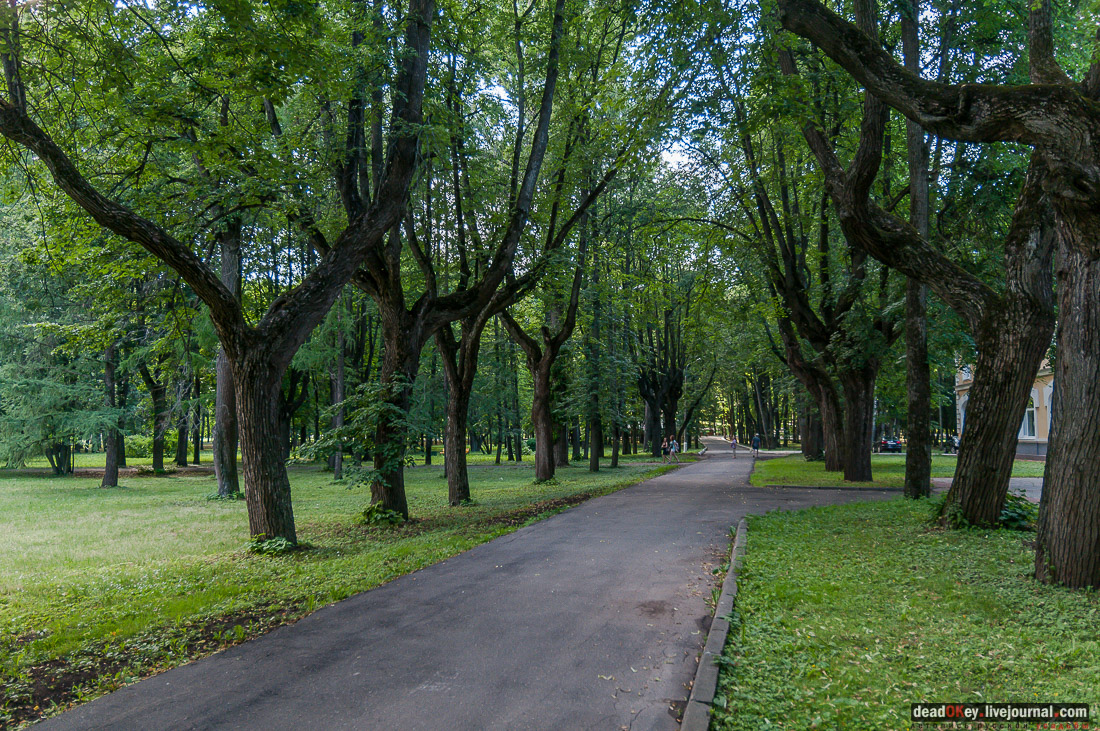 усадьба Архангельское