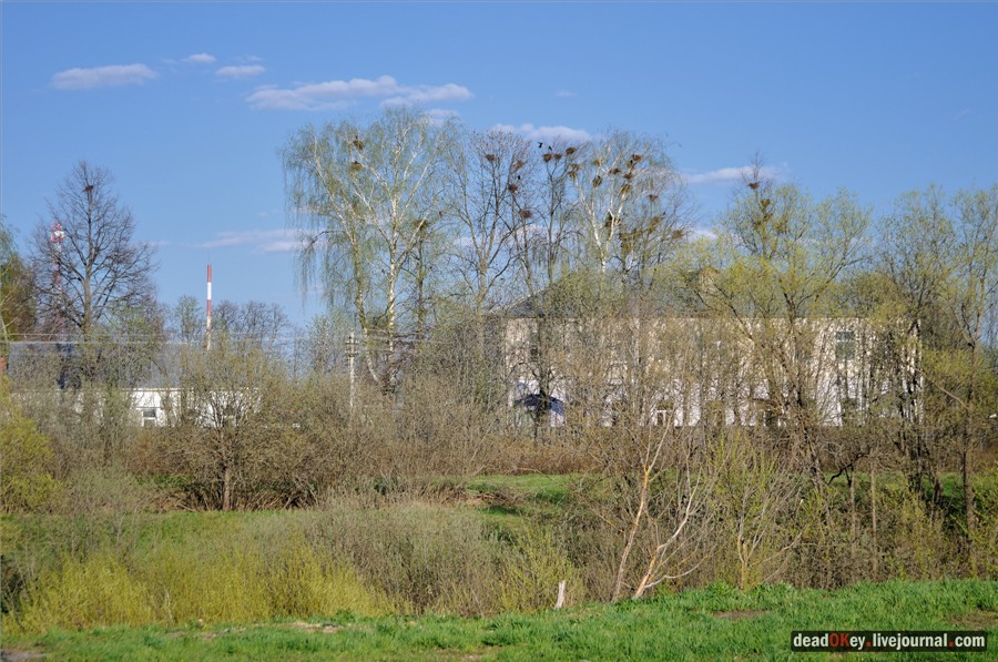 усадьба Черкутино