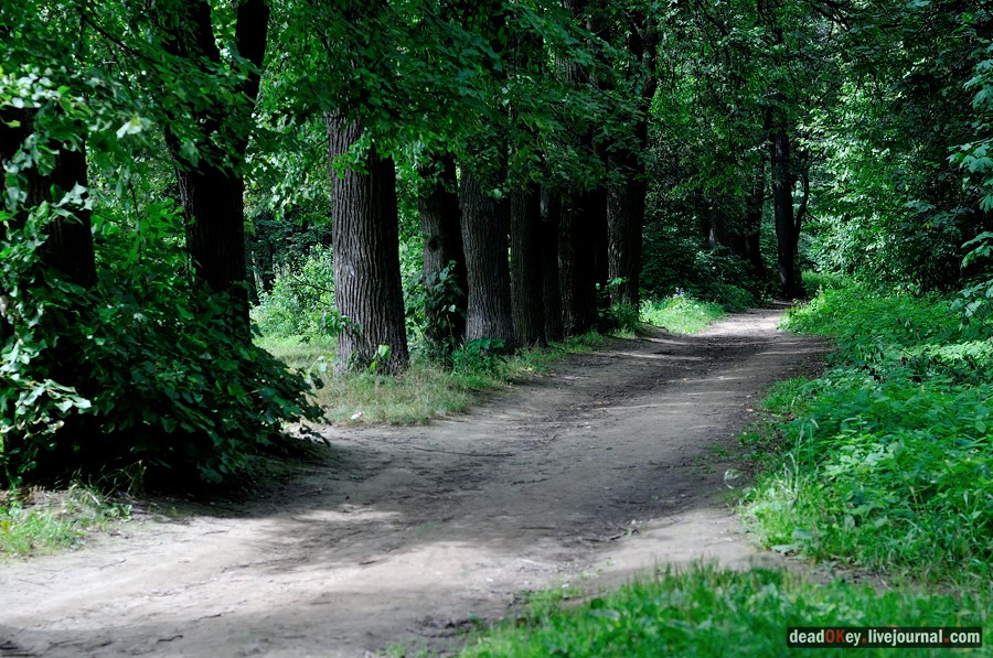 усадьба Троицкое (Мосрентген)