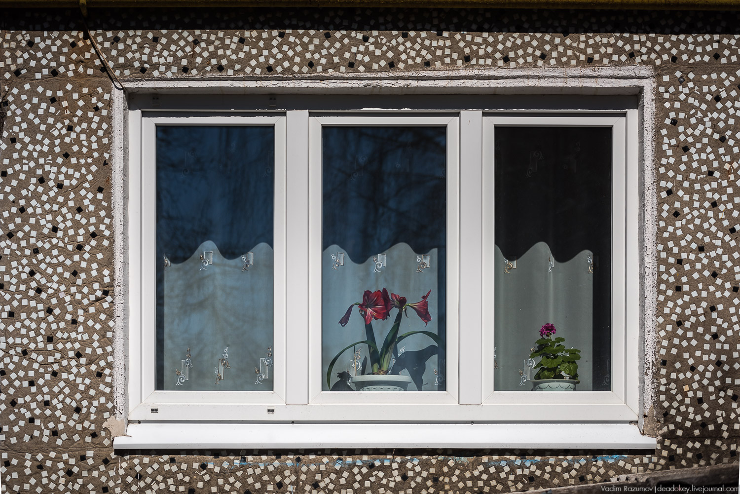 Богородицк, сады горожан