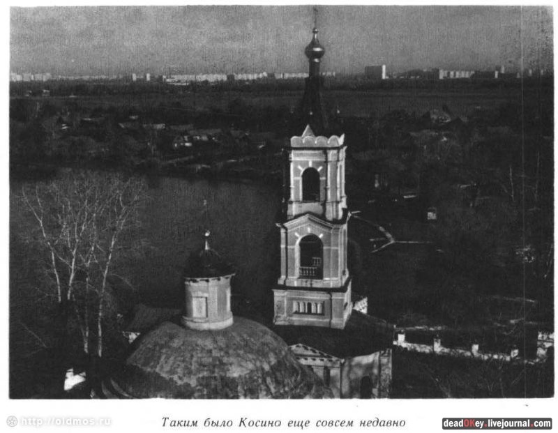 усадьба Косино