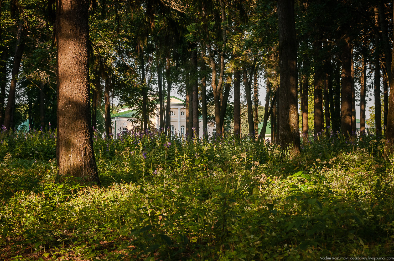 усадьба Степановское-Волосово, интервью с Сергеем Васильевым