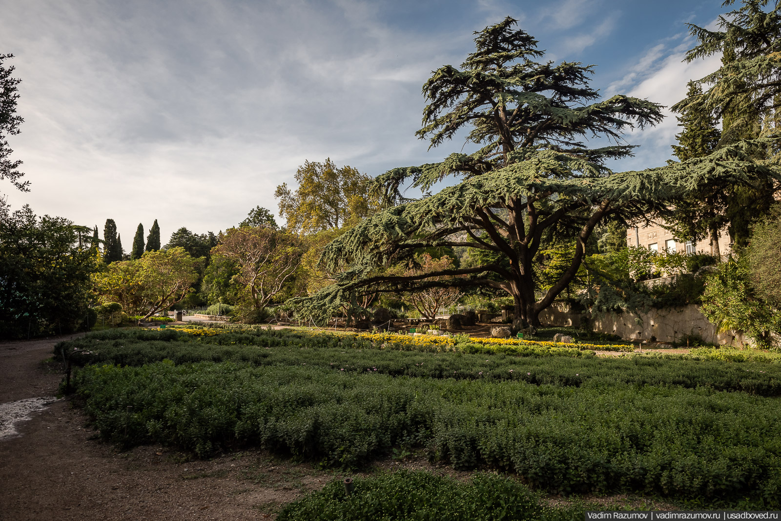 Никитский ботанический сад
