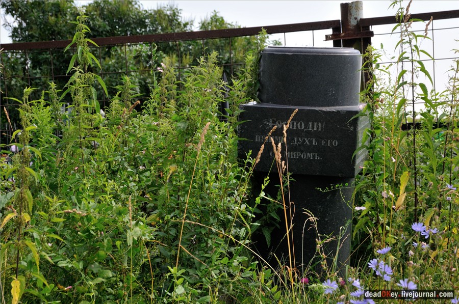 усадьба Троицкие Борки