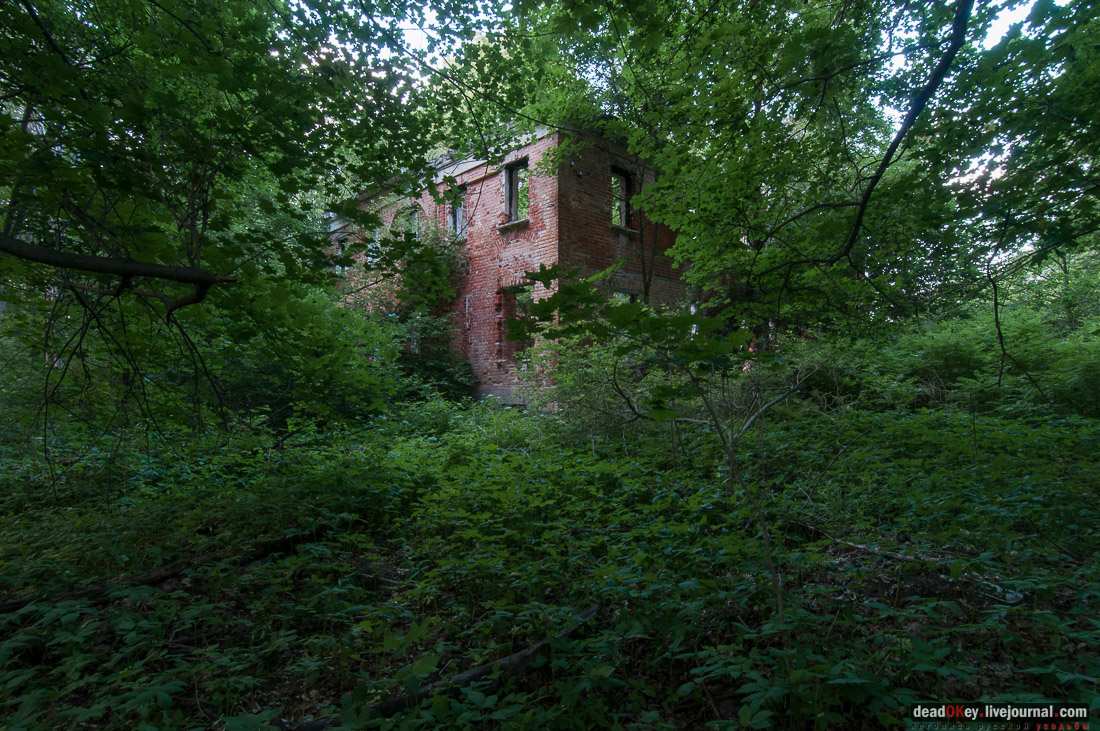 Усадьба Верзилово