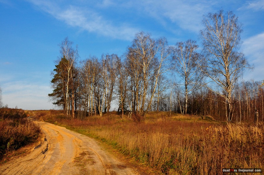 усадьба Бережки