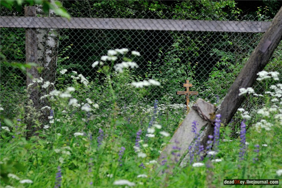 усадьба Паньково