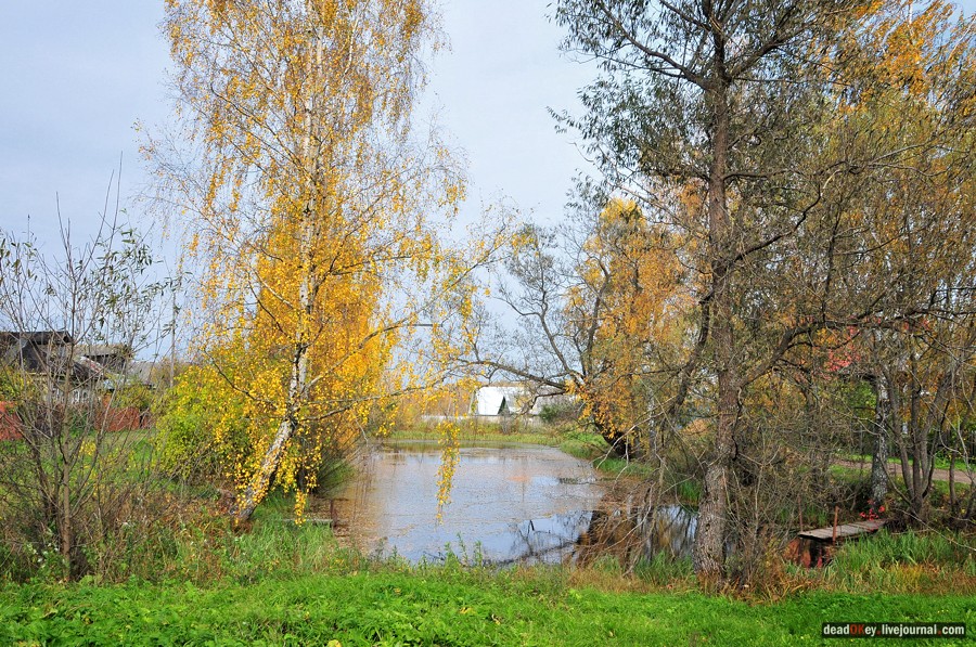 усадьба Яковлево