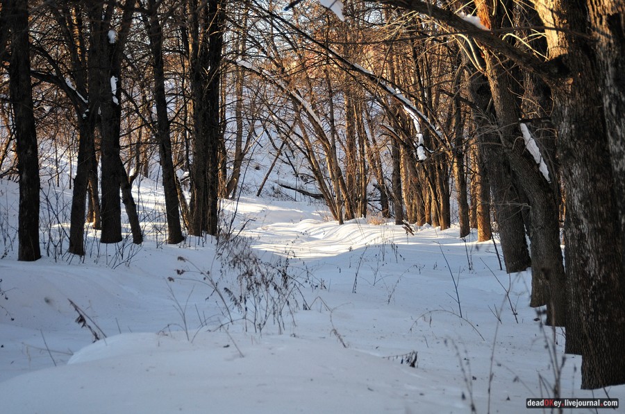 усадьба Петровское-Лобаново