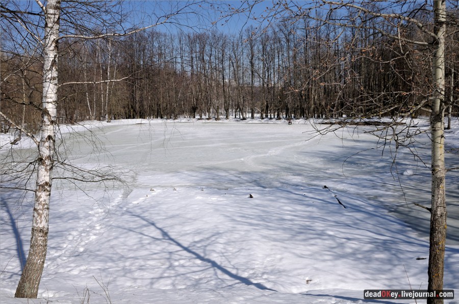 усадьба Узкое