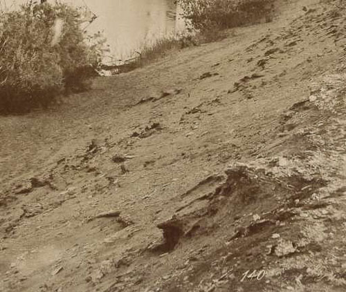 усадьба Мелихово. Чехов на Цейлоне