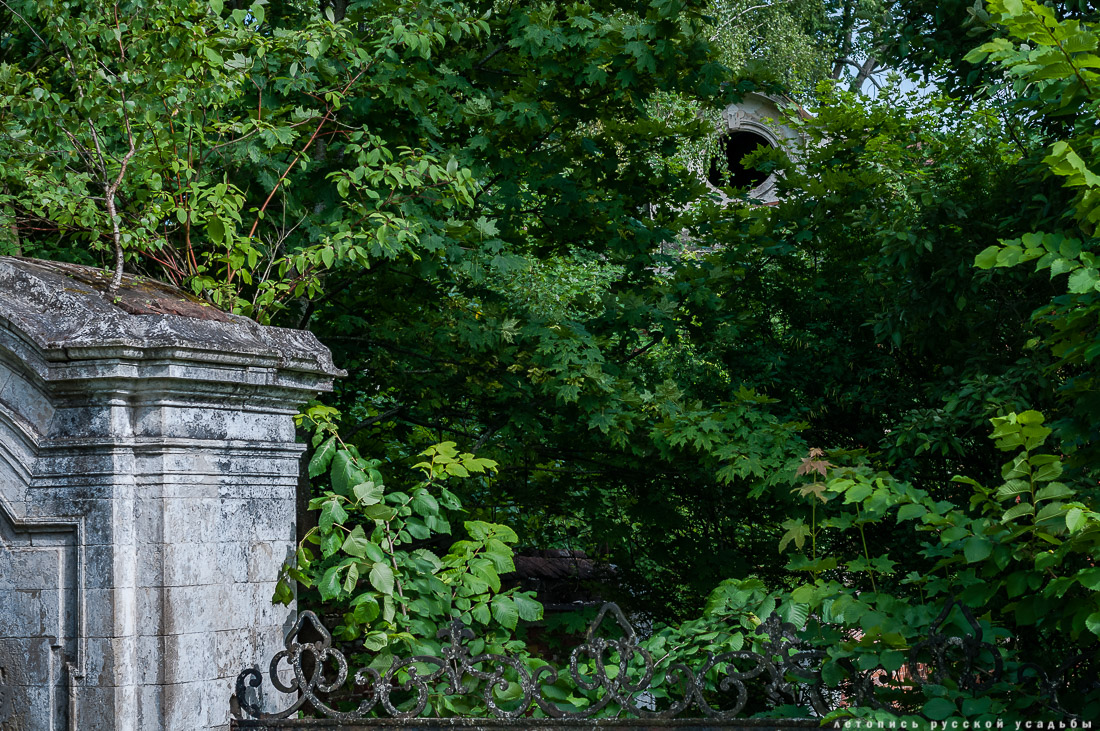 усадьба Отрада-Семеновское