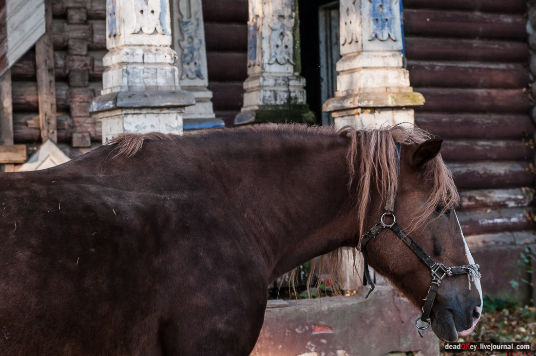 усадьба Бергов