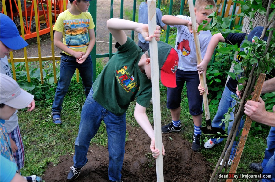 усадьба Наташино, Наташинские пруды