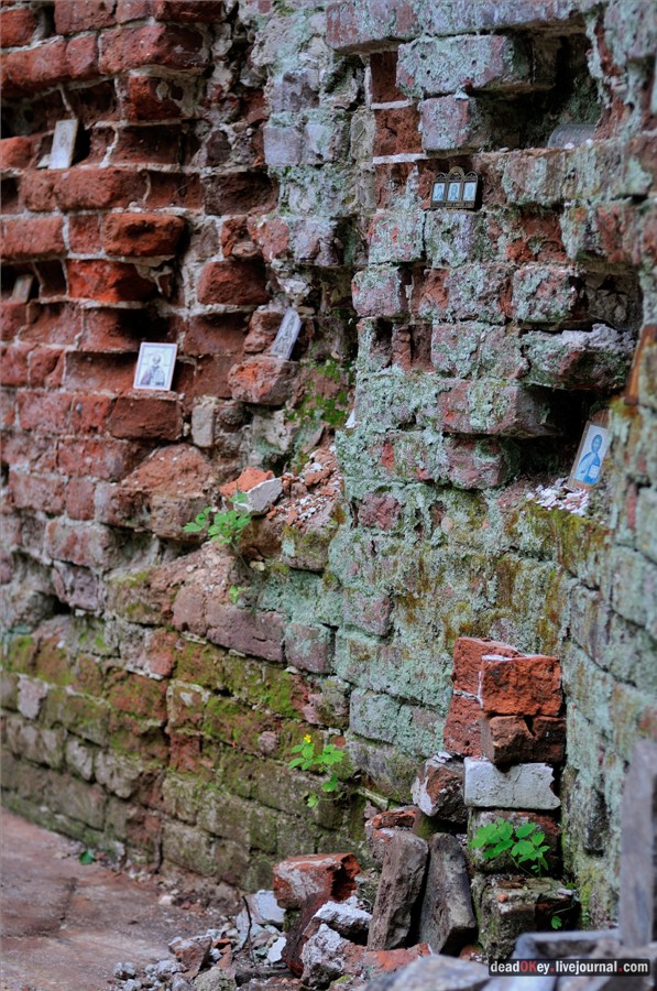 усадьба Паньково