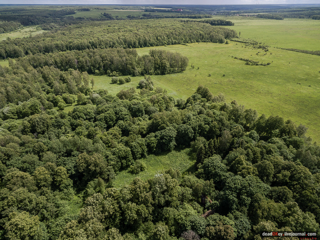 усадьба Верзилово, аукцион 19 июля, съемка с квадрокоптера
