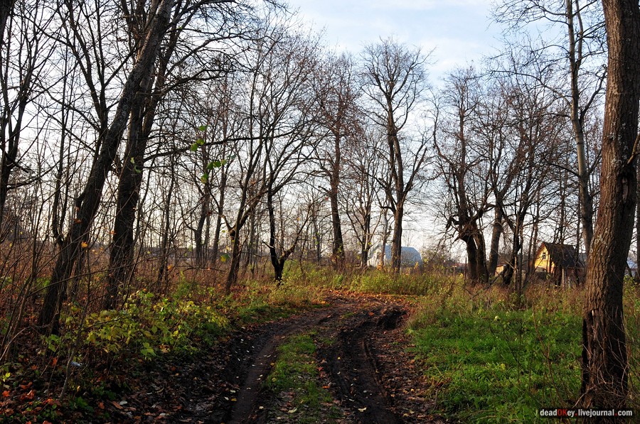 усадьба Бережки
