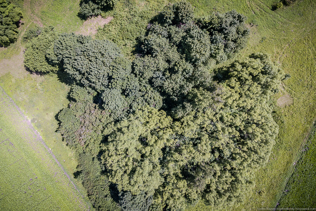 усадьба Кропотово-Лермонтово