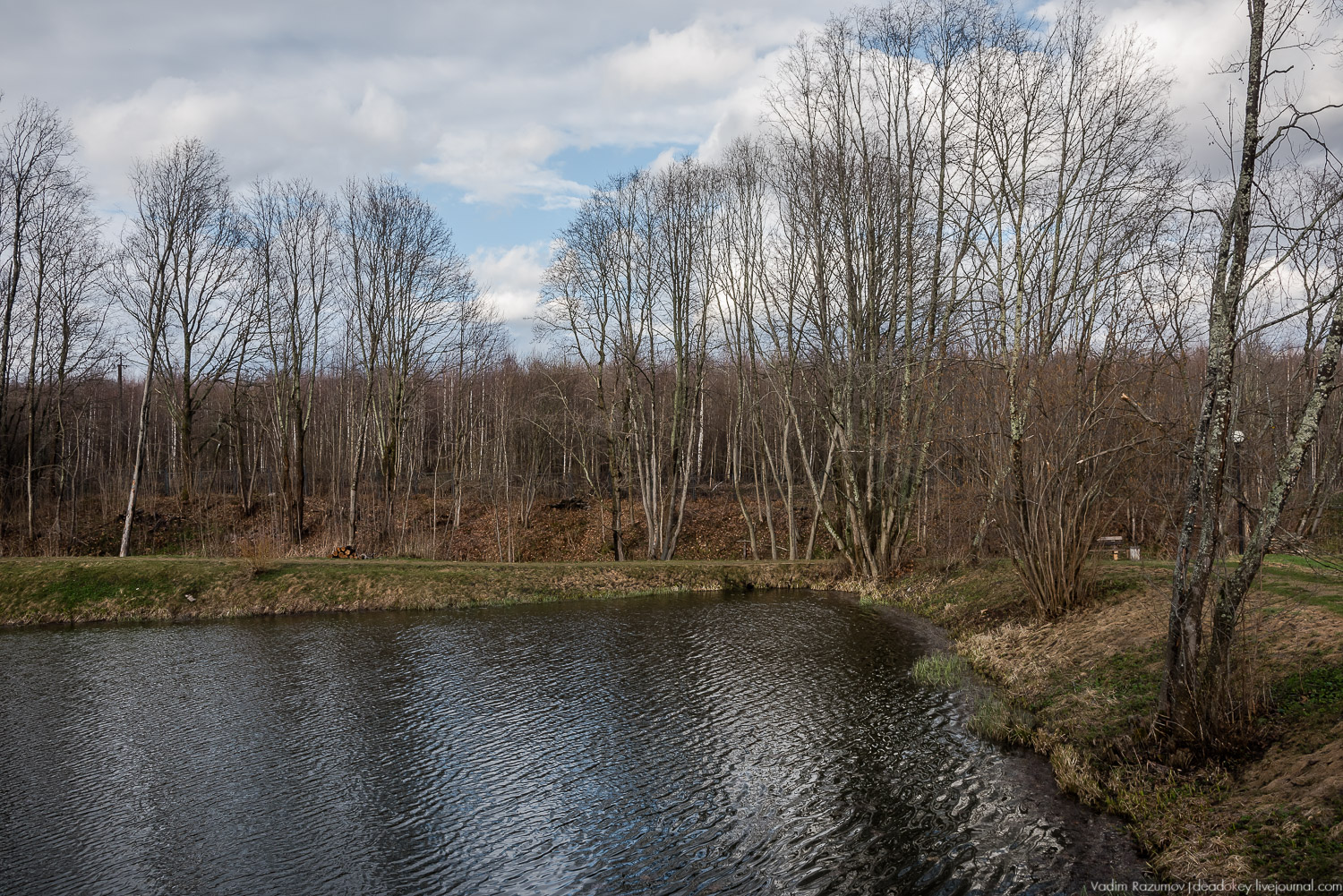 усадьба Домотканово, весна 2018 год
