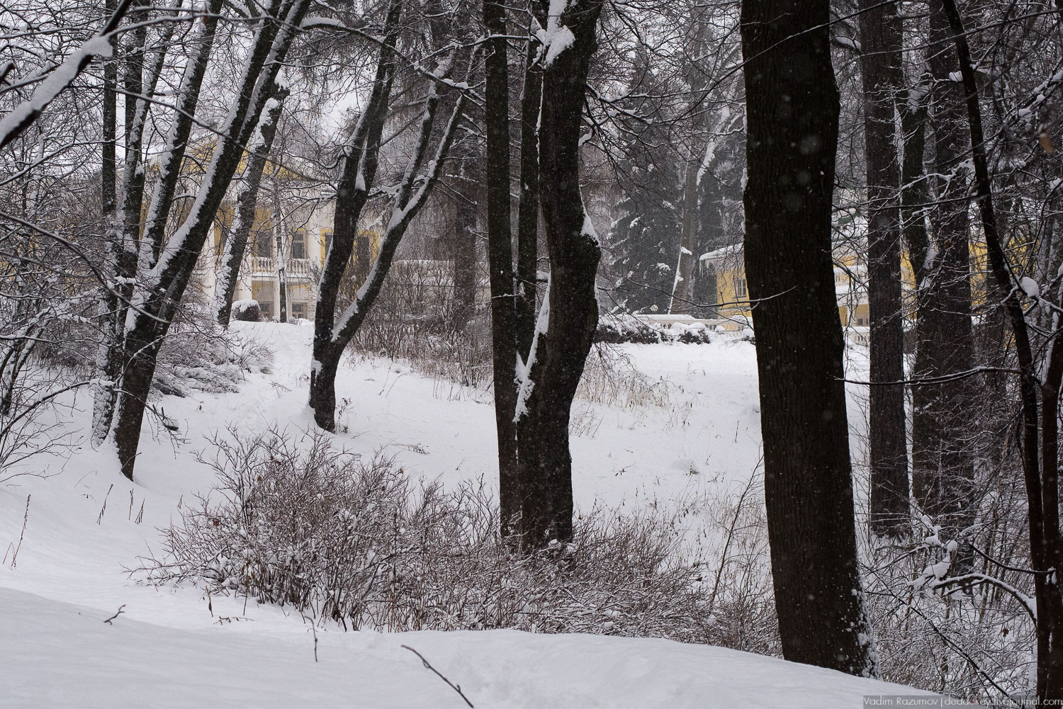усадьба Горки Ленинские, 2018 год, Летопись русской усадьбы, Вадим Разумов
