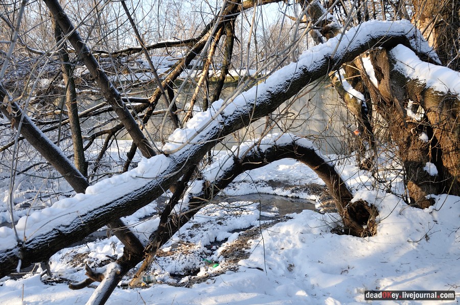 усадьба Люберцы