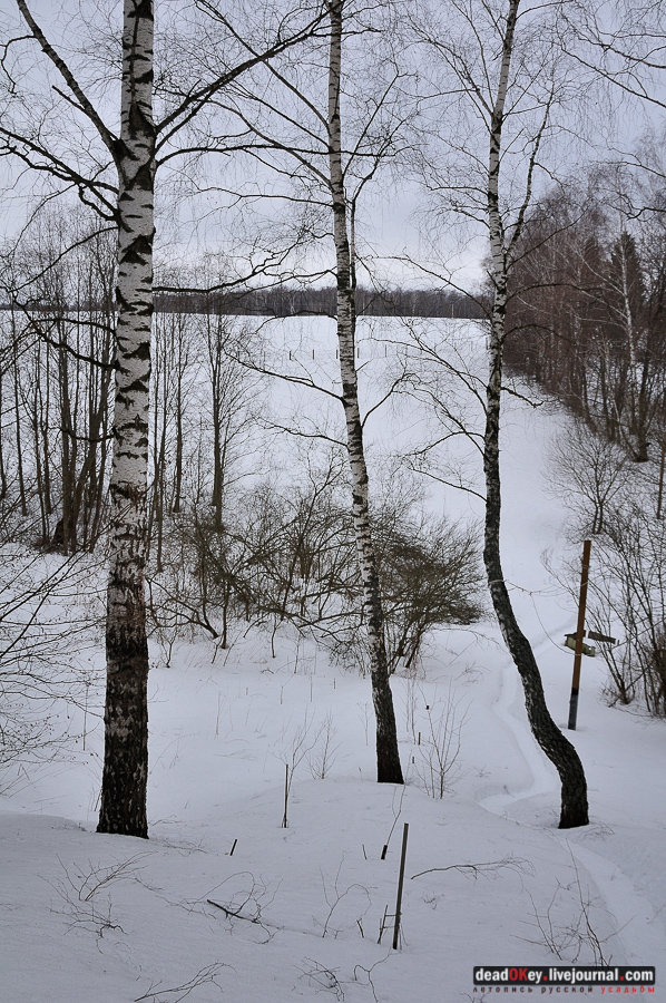 усадьба Долматово