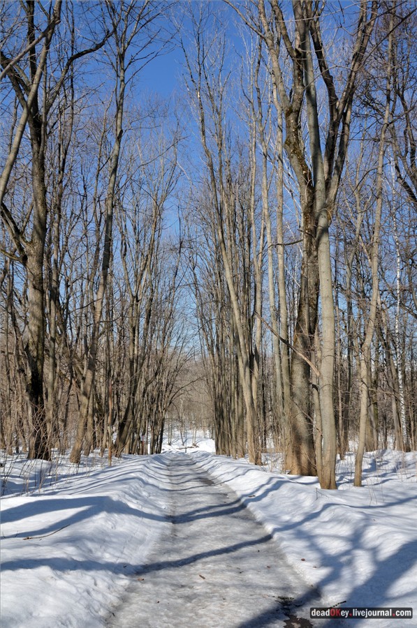 усадьба Узкое