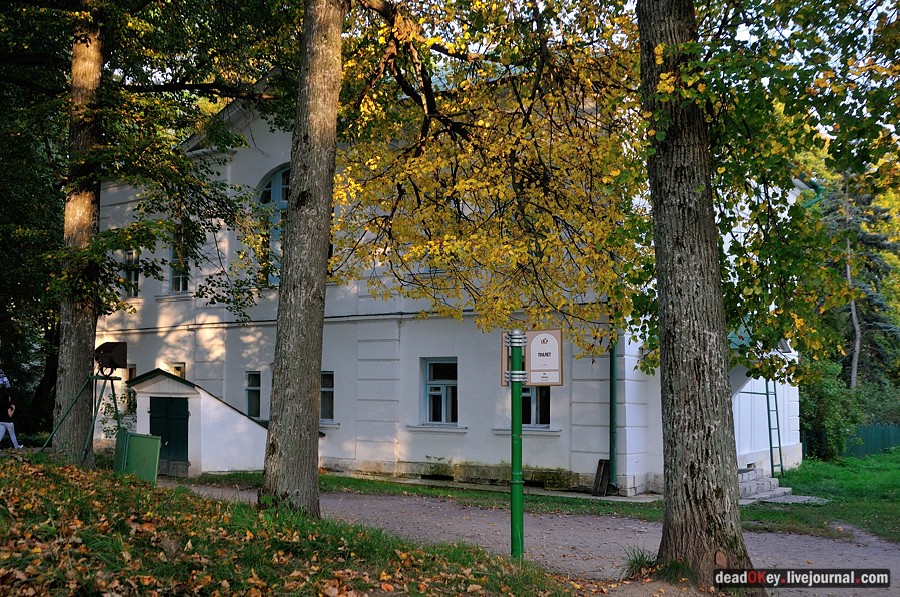 усадьба Ясная Поляна