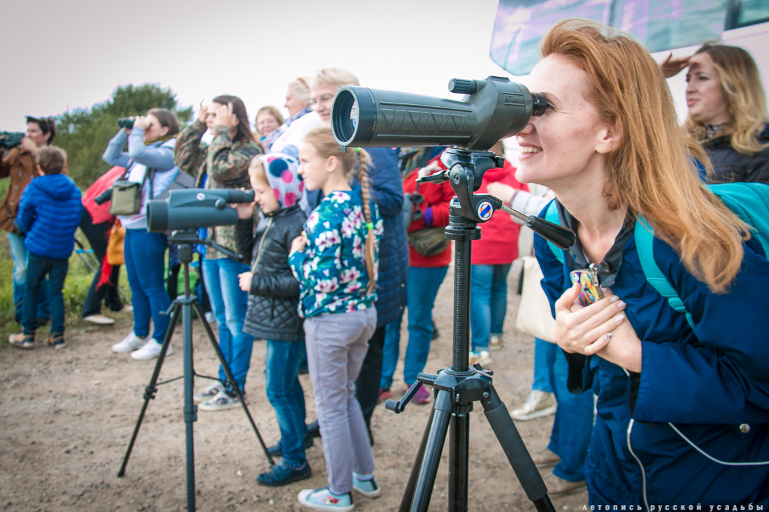 Экоэлектричка на родину журавлей в г. Талдом.