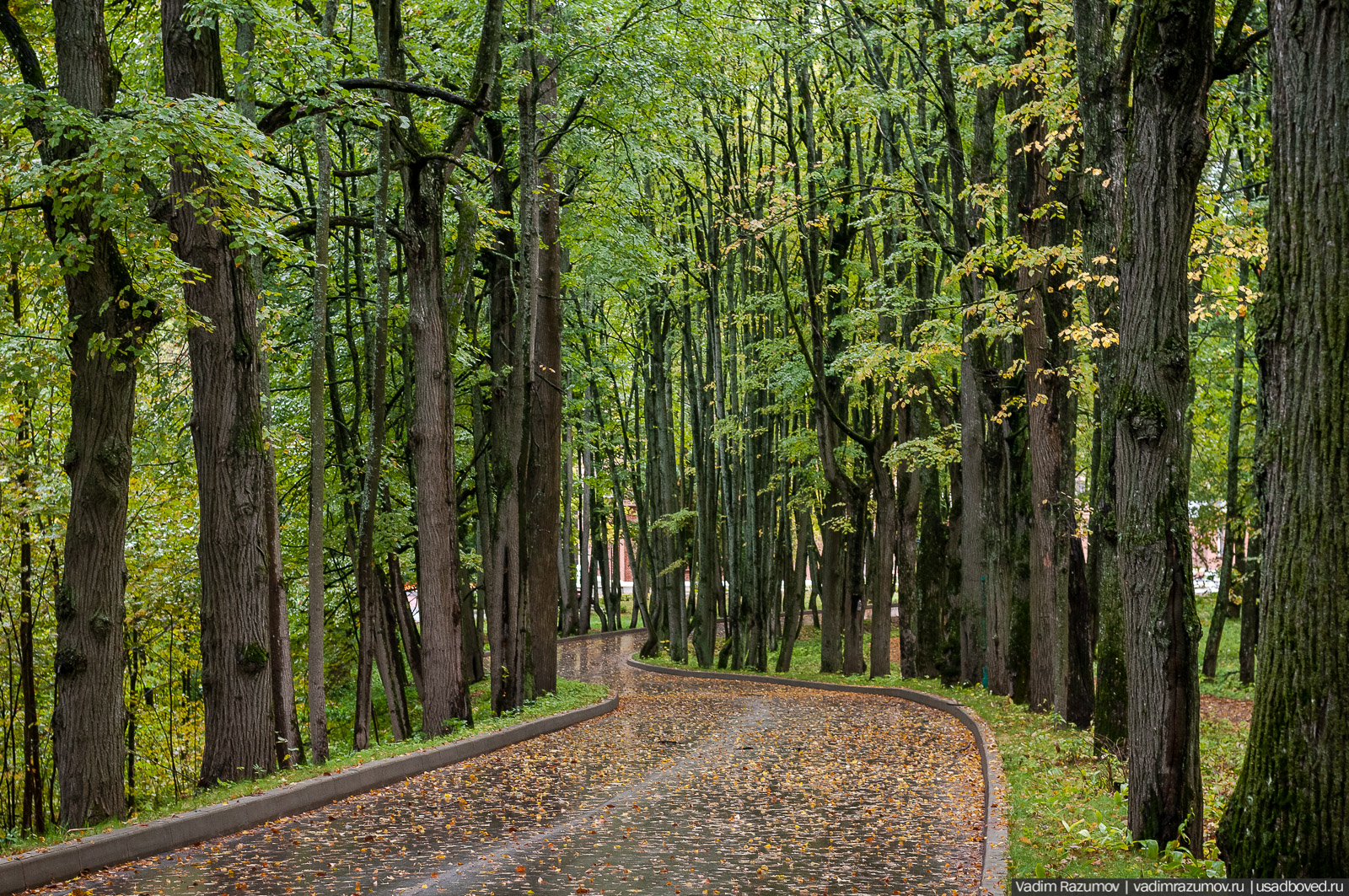 усадьба Васильевское (Марьино) Щербатовых, Рузский район, Московская область