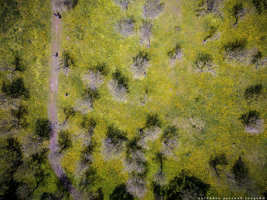 В гости с дроном к Л.Н. Толстому в усадьбу Ясная Поляна, Тульская область, Щекинский район, дер. Ясная Поляна