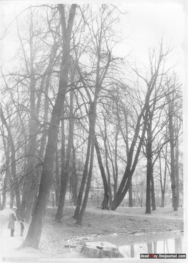 усадьба Грачевка (Ховрино)