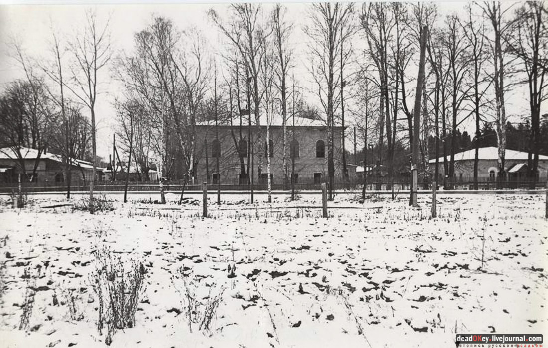 усадьба Гребнево, больничный комплекс