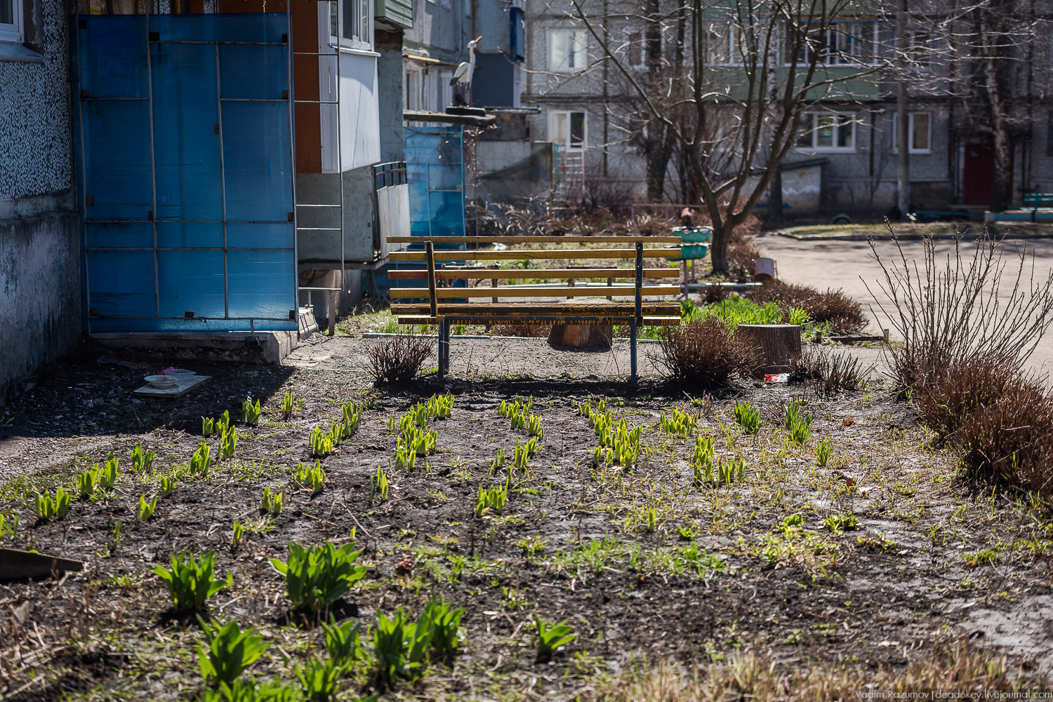 Богородицк, сады горожан