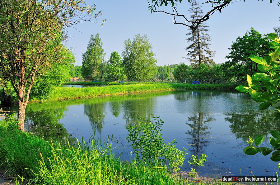 усадьба Богословское-Могильцы