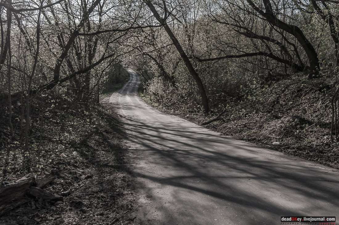 усадьба Зендиково