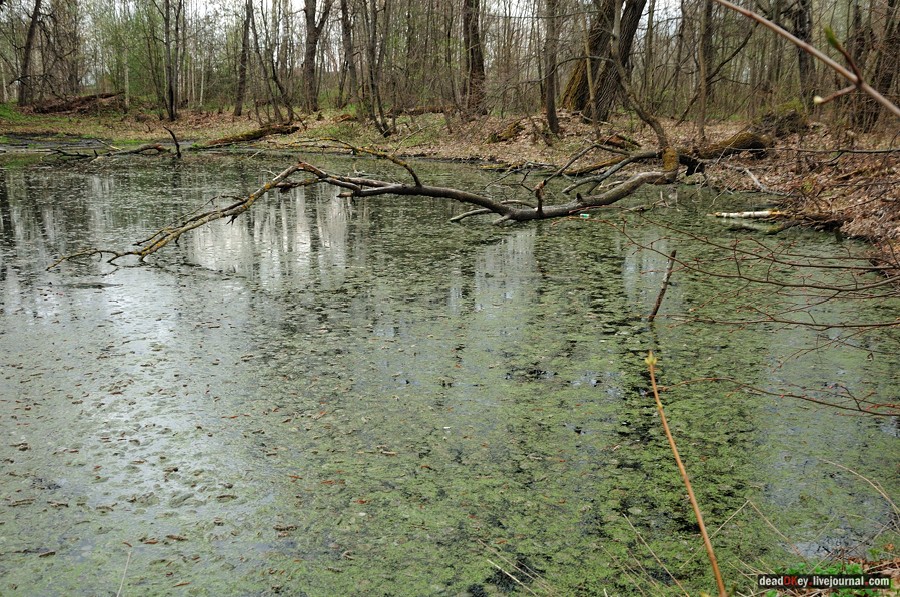 усадьба Антипино