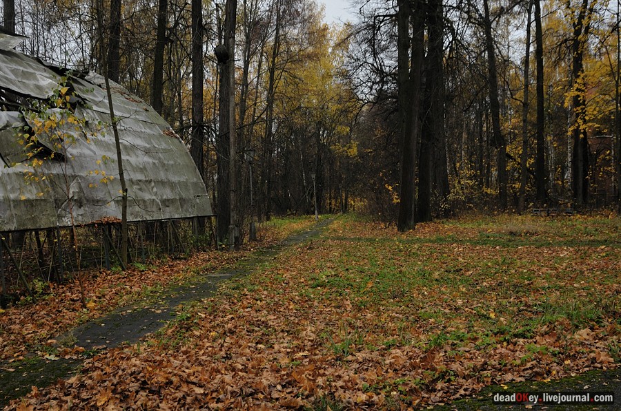 усадьба Жуково