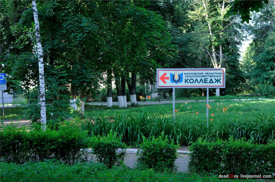 усадьба Долгое Ледово