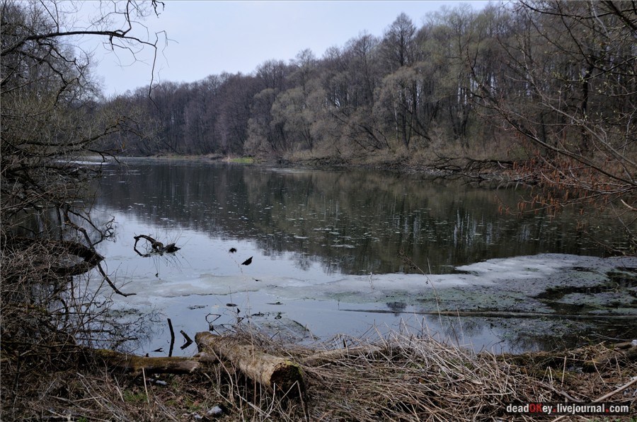 усадьба Городня