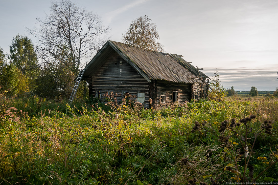 дер. Кучепалда, Архангельская обл.