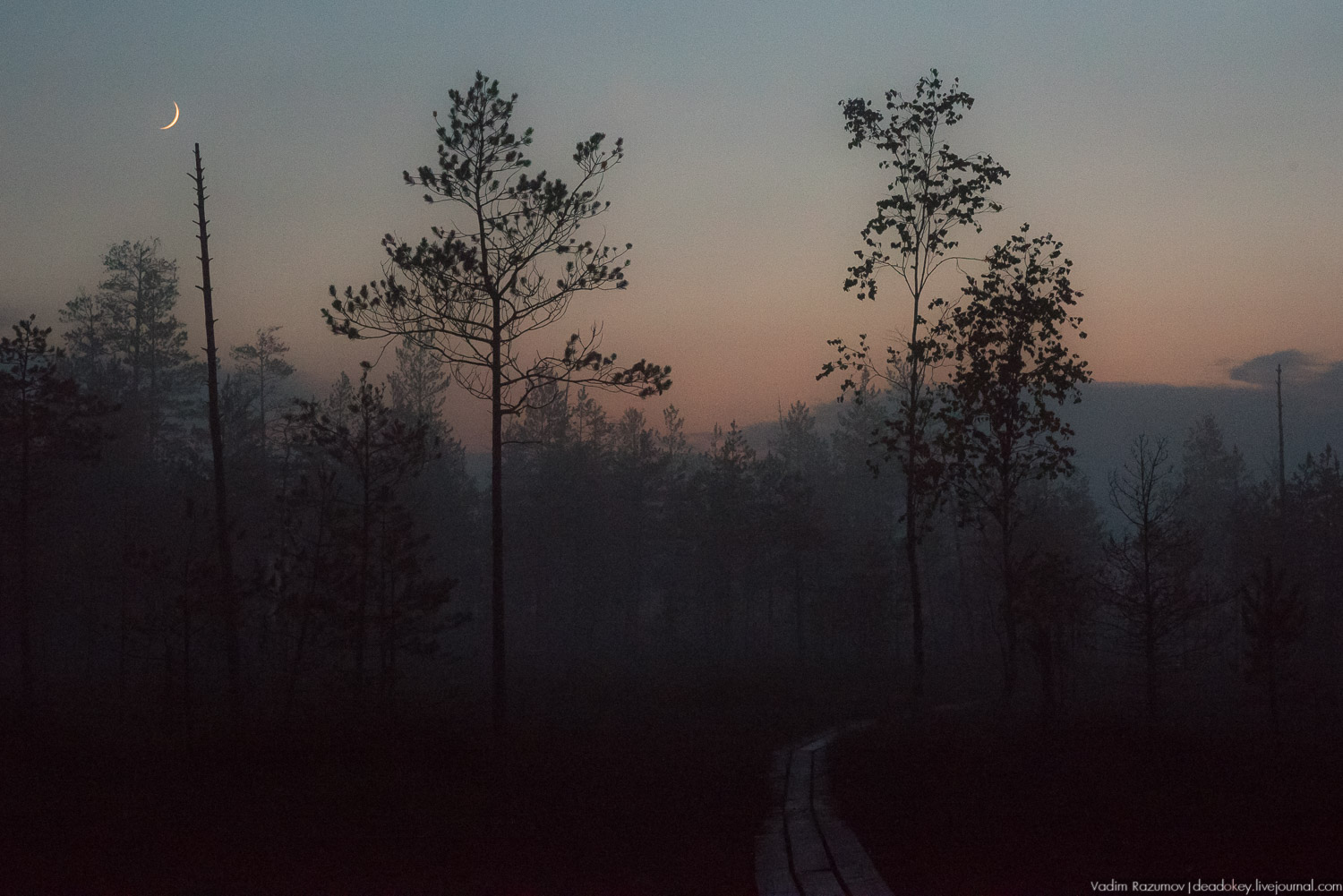 Центрально-лесной государственный природный биосферный заповедник, Нелидовский район, Тверская область, пос. Заповедный