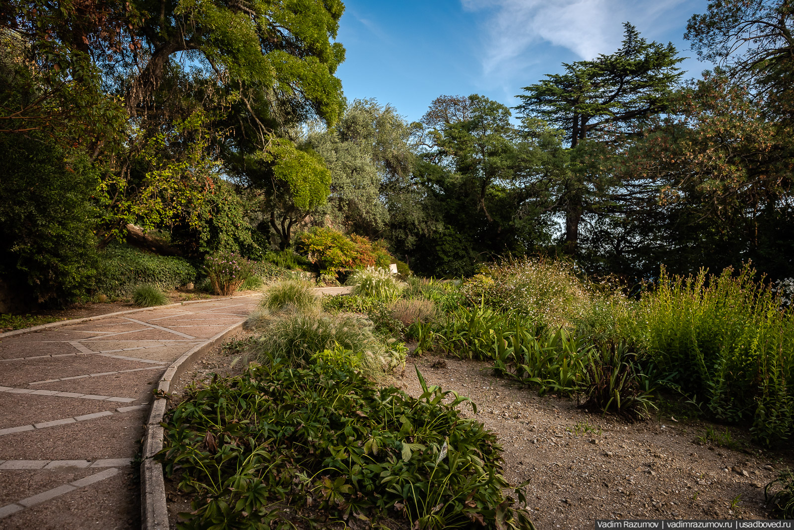 Никитский ботанический сад