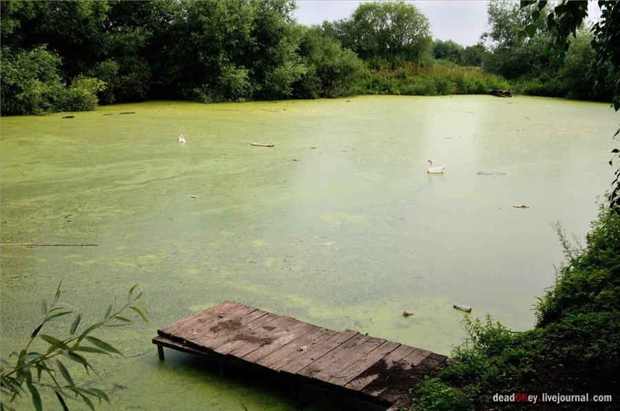 усадьба Сушково