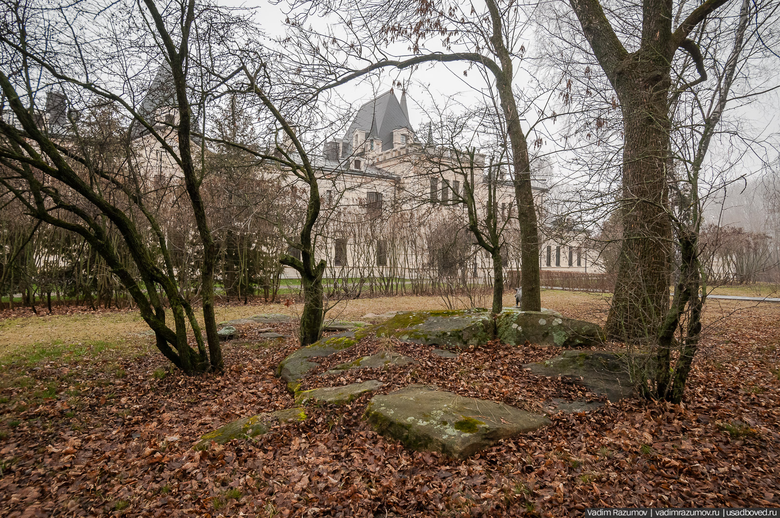 усадьба Борки, Липецкая область