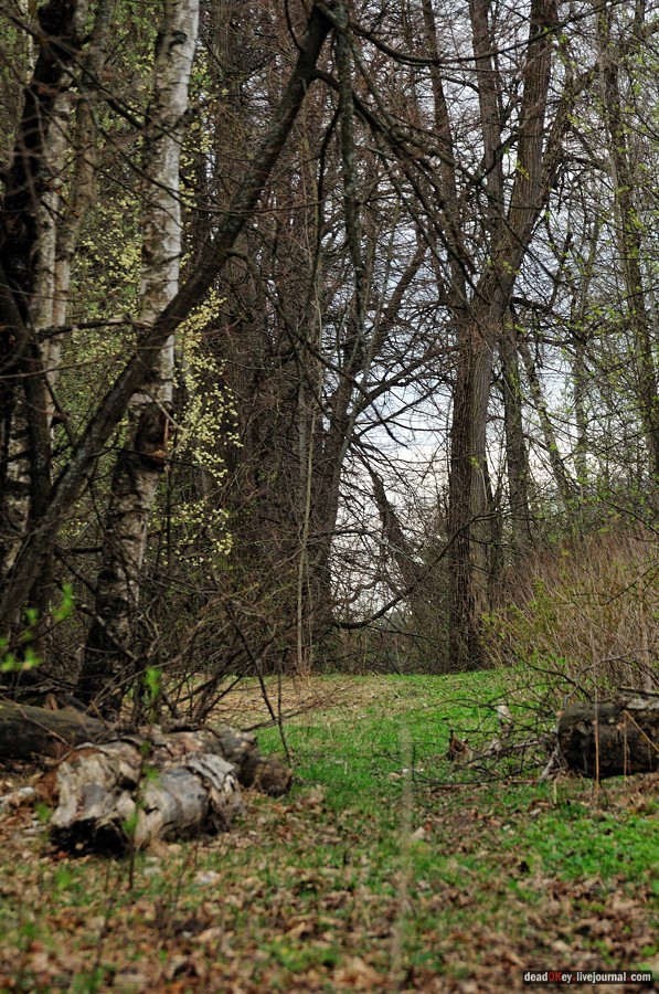 усадьба Антипино