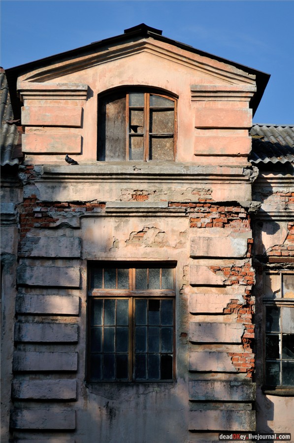 усадьба Долгое Ледово