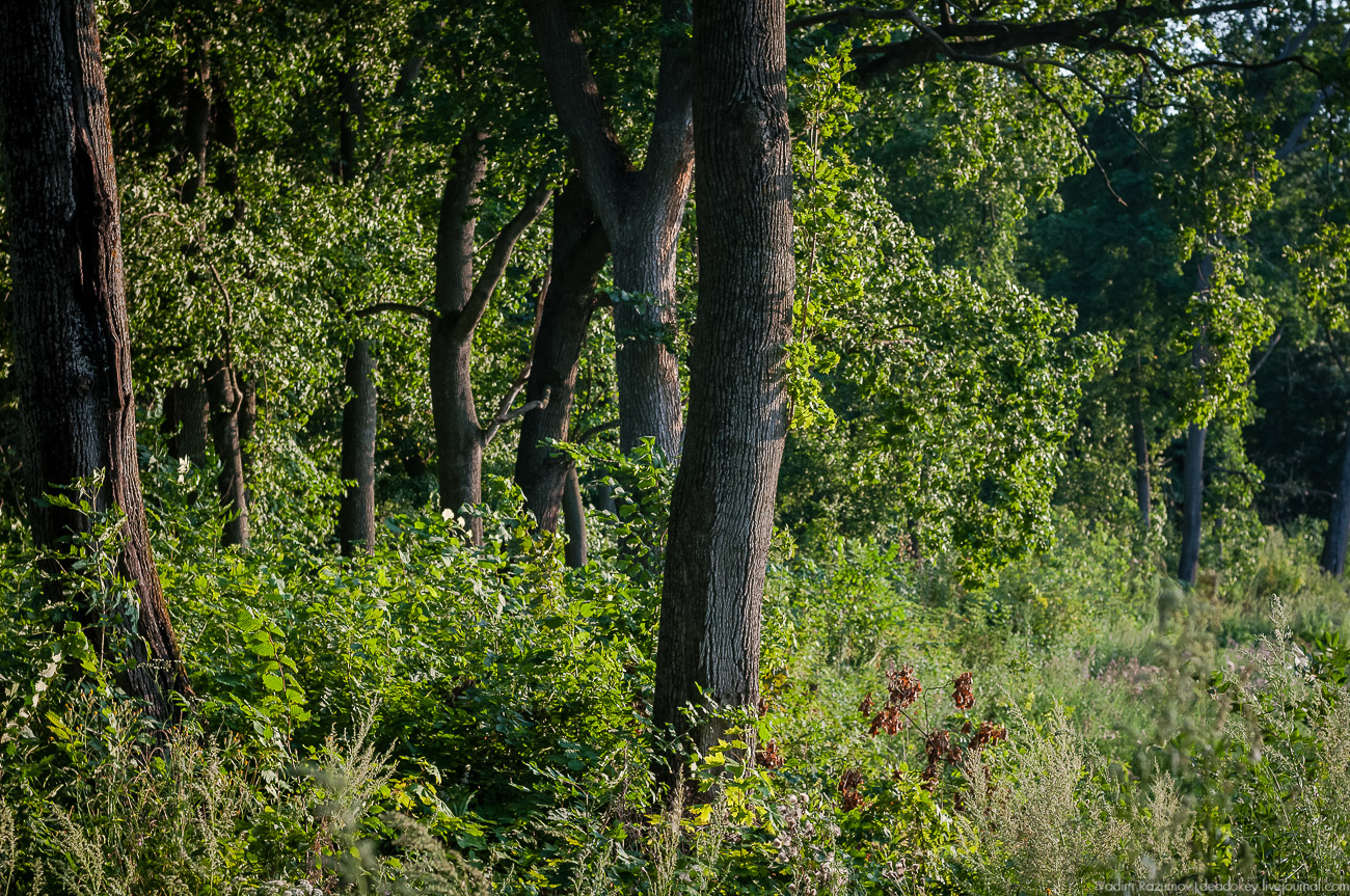 усадьба Колодезское